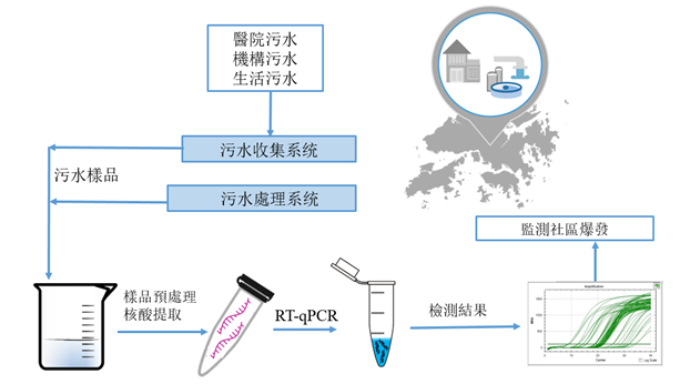 Sewage Surveillance Procedure of SARS-CoV-2