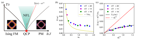 (a) Schematic phase diagram of ferromagnetic NFL, with the expected power-law behave in self-energy. (b) Self-energy calculated from quantum Monte Carlo simulation. It appears to have a slow diverging form. (c) NFL self-energy revealed after deduction of the thermal contribution. The black dashed line shows the theoretical prediction of zero-temperature NFL self-energy, while the red dashed line marks the low-frequency power-law form. 
 