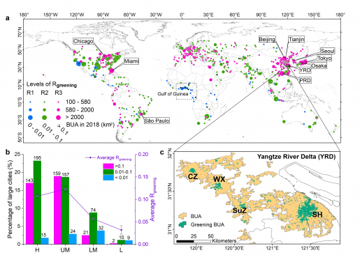 Distribution of large cities in the world with greening built-up area (BUA), and greening built-up areas in Yangtze River Delta (YRD) city cluster