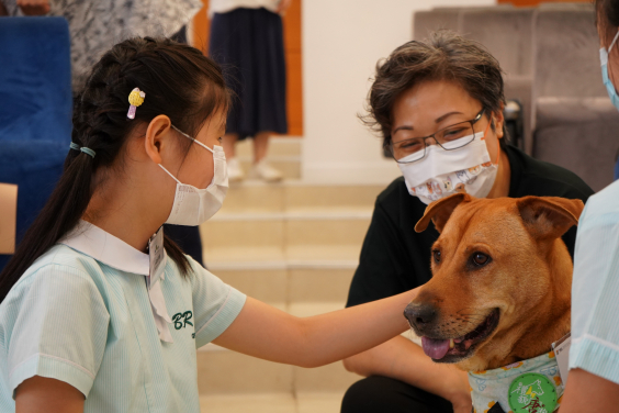 Animal-assisted humane education enhances social-emotional skills among primary school students in Hong Kong  