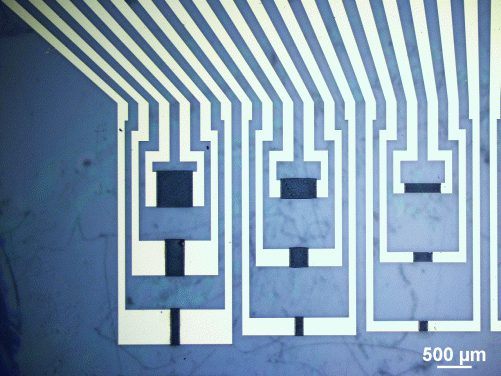 Organic electrochemical memory transistors with different physical dimensions

 