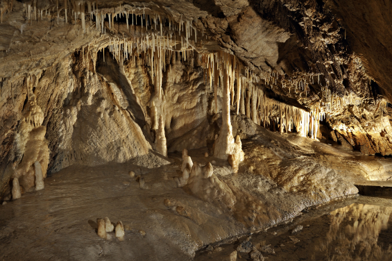 Karst - Jaskinia Niedźwiedzia in Kletno, Poland, the longest cave in the Sudetes. It is a result of karst activity affecting marble. The tunnels have a total length of almost 4.5 km and are located on several levels. It is also the cave with the richest speleothem deposits in Poland. The cave’s tunnels are decorated with magnificent stalactites, stalagmites, stalagnates, dripstones, clints, and sinter pools. (Photo credit: Urząd Miejski w Stroniu Śląskim)