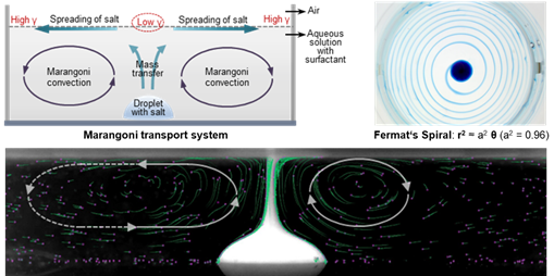 Pictures are reproduced under the terms of the CC-BY license. [Nature Communications. 2022, 13, 7206]
 