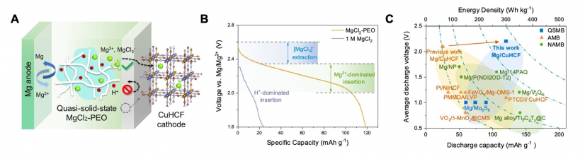 Figure 1. (A) Schematic figure of the battery mechanism: the quasi-solid-state electrolyte enhances battery performance by regulating ion storage. (B) Voltage profile of the QSMB compared to a battery using traditional aqueous solution: the suppression of proton storage facilitates high-voltage Mg-ion insertion in the cathode. (C) Literature comparison of current Mg-ion batteries including quasi-solid-state Mg-ion batteries (QSMB), aqueous Mg-ion batteries (AMB) and non-aqueous Mg-ion batteries (NAMB).
 