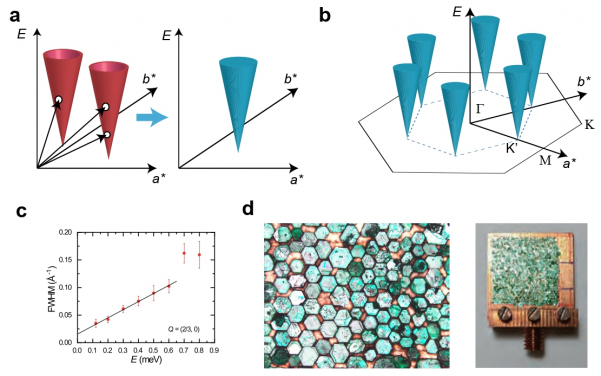 a. Schematic diagram of the conical excitations of Dirac spinons and the conical continuum spectrum formed by two spinons.
b. Schematic diagram of the conical spin excitations in YCu3(OH)6Br2[Br0.33(OD)0.67].
c. Relationship between the half-width at half-maximum and energy. The solid line represents a linear fit.
d. A magnified image of some co-aligned crystals, and the front view of co-aligned samples on two Cu plates.