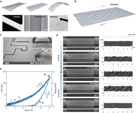 Figure 1. Instability of suspended single-layer graphene. Scale: a 1 μm, 500 nm, 200 nm, and d 1 μm.
 