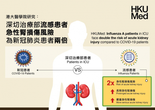 HKUMed finds critically ill influenza patients face double the risk of acute kidney injury than COVID-19 patients