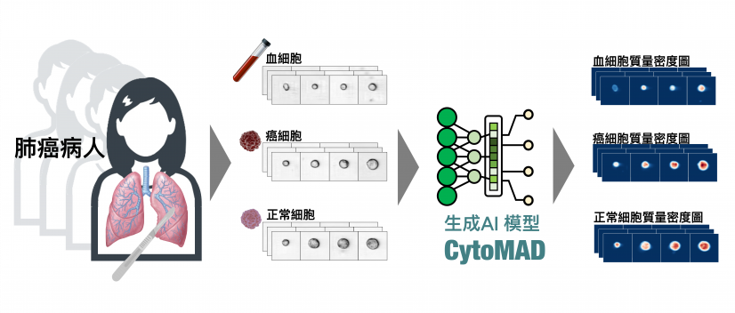 Generate the mass density map of single cells extracted from lung cancer patients using the Generative AI model, CytoMAD, developed by the HKU team.